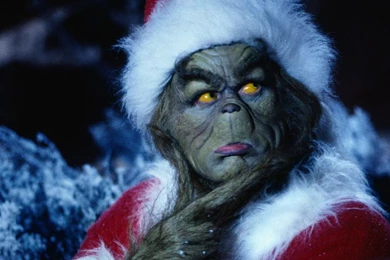 The Grinch   How The Grinch Stole Christmas Wallpapers (30805561 ...