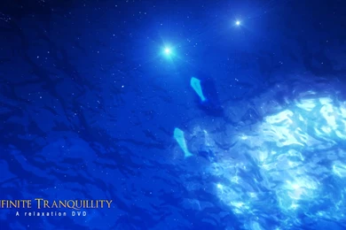 Infinite Tranquility
