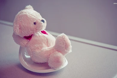 Relaxing Pink Teddy Wallpapers