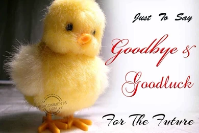 Saying Goodbye Quotes Wallpapers