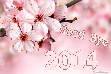 Good Bye 2014 Wallpapers