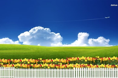 Picket Fence Wallpapers
