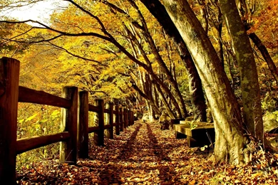 Fence Tag Wallpapers Page 7: Traditional American Home Luxurious ...