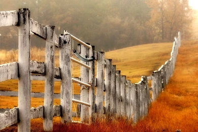 Photography   Page 16