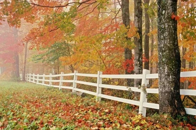 Beautiful Fall Nature Best HD Wallpapers Download Beautiful Fall ...