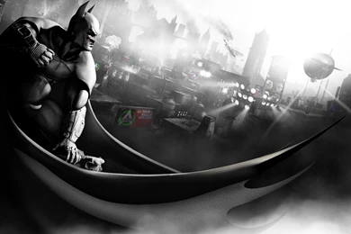 171 Batman: Arkham City HD Wallpapers