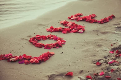 Love Word Cute Love Wallpapers To Say I Love You