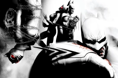 Batman: Arkham City Review (at Last) « Gaming News And Game ...