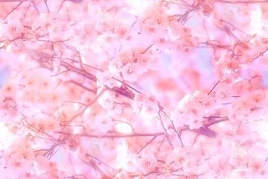 Gallery For   Pretty Wallpapers Tumblr