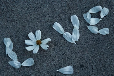 Love Message HD Desktop Wallpapers : High Definition : Fullscreen ...