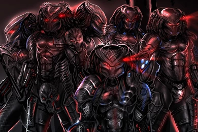 Predator Wallpapers