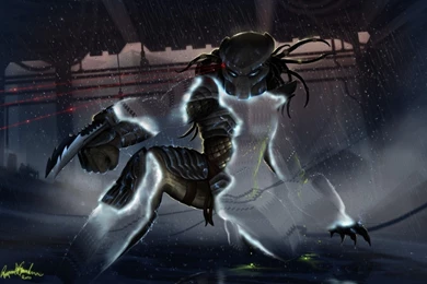 Predator Wallpapers   HotFreeWallpaper.com