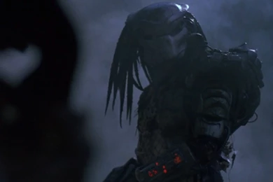 Predator Computer Wallpapers, Desktop Backgrounds