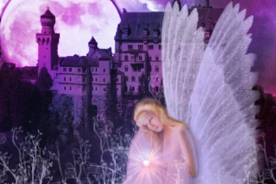 Angels And Fairies Backgrounds And Codes For Any Blog, Web Page ...