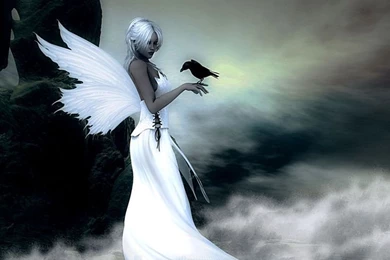 Beautiful Dwarf Warriors