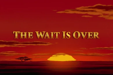 81 The Lion King HD Wallpapers