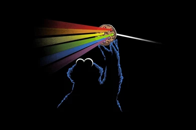 Pink Floyd Dark Side Of Cookie Monster Wallpapers HD