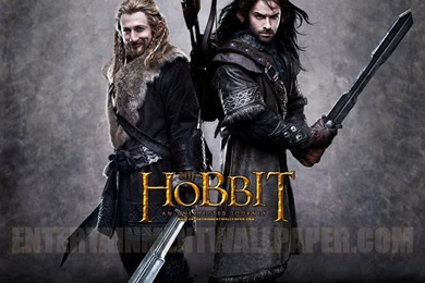 The Hobbit: An Unexpected Journey Wallpapers