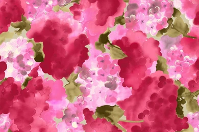 HD Floral Wallpapers HD Wallpapers Desktop Wallpapers ...