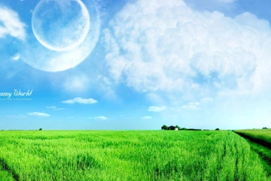 Dreamy World Wallpapers   568501