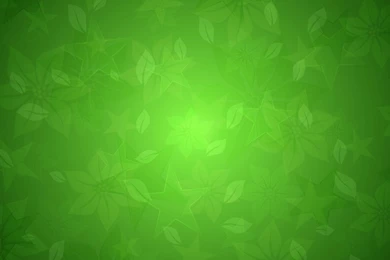 Finnegan's Field   Textures wallpapers green floral textures.jpg