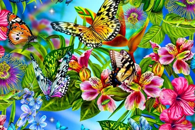 07+Butterflies_Colorful_Wallpaper_HD+(cute pictures.blogspot.com).jpg