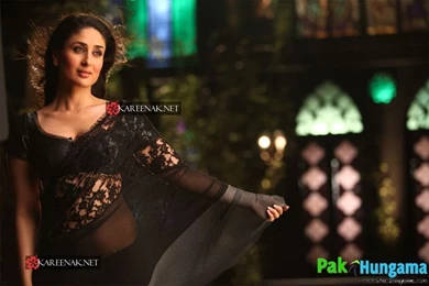 Kareena Kapoor Low Waist Saree Wallpapers 2011 1.jpg