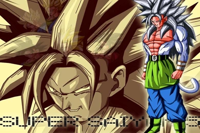 DRAGON BALL Z WALLPAPERS: Goku Super Saiyan 5