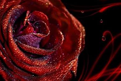 Galaxy Core Wallpapers HD   Beautiful, Stunning Wallpapers