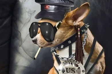 Amazing And Funny HD Wallpapers For Desktop – Photography Heat ...