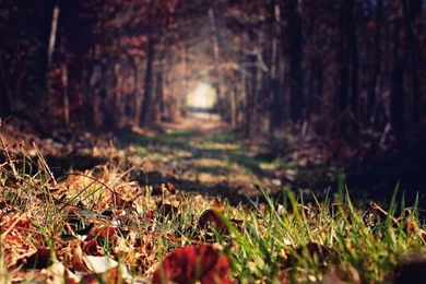 10 Best Macbook Pro Retina Ready Wallpapers