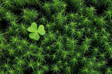 Pin By Maxie Meinhold On {sweet Pictures ♥}