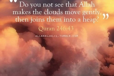 The Things We See As Most Simple Have The Biggest Signs In Them ...