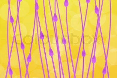 Purple Twigs On The Yellow Blurred Background, Wallpapers Pattern ...