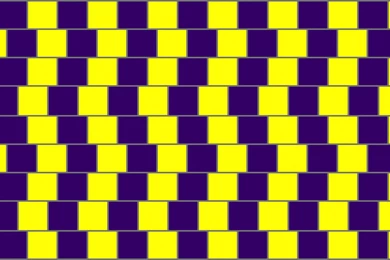 Purple And Yellow Lines   1234604