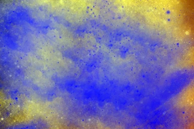 Purple Yellow Texture.jpg