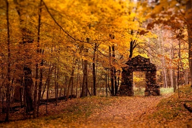 Fall Harvest Wallpapers   Wallpapers Cave