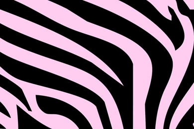 Pink Zebra Wallpapers   ClipArt Best