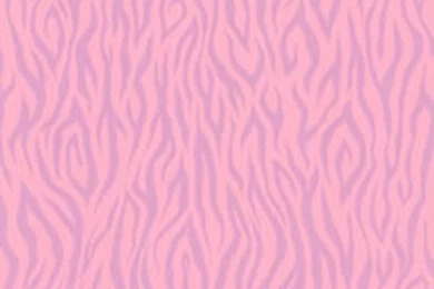 York pink zebra skin wallpaper 2.jpg