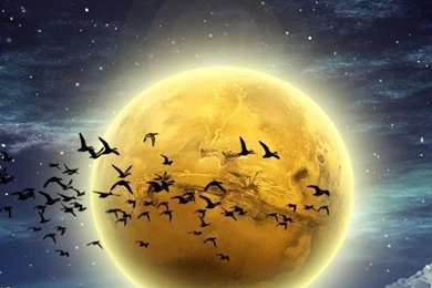 Sony Xperia Z1, ZL, Z, Samsung Galaxy S4, HTC One Moon Wallpapers ...