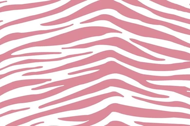 Baby Blue Zebra Backgrounds   HDpict