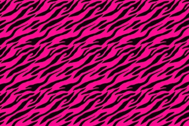 Electric Pink Zebra Print Whatsapp Wallpapers
