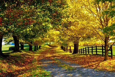 Fall Season Wallpapers Desktop Backgrounds