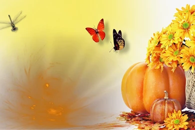 2015 Happy Harvest Festivals Wallpapers