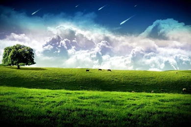 Landscapes Amazing Backgrounds Photography Landscape Grass ...
