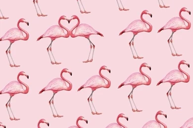 Pattern, Background, Flamingo, Pink,