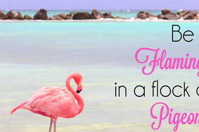 Wallpapers Archives   Strange & CharmedStrange & Charmed