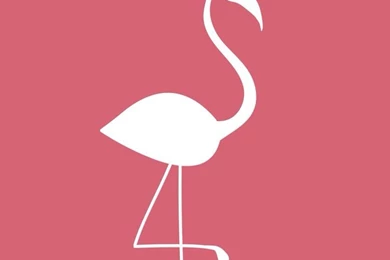 Fancy Flamingos ★ iPhone Wallpapers On Pinterest