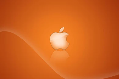 Desktop burnt orange wallpaper.jpg