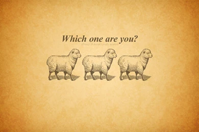 Minimalistic Text Typography Wallpapers